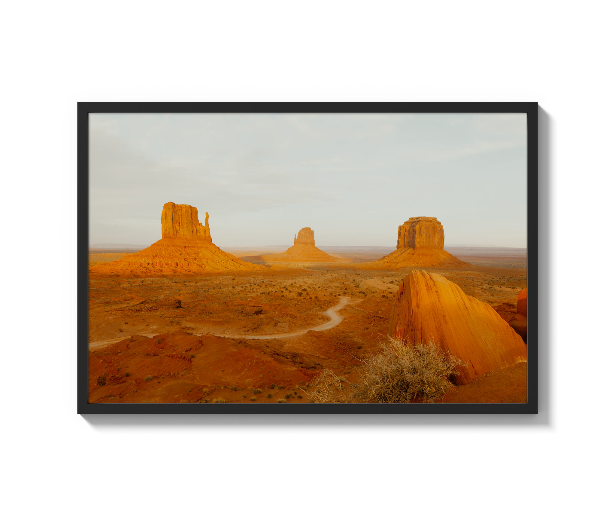 Navajo Nation