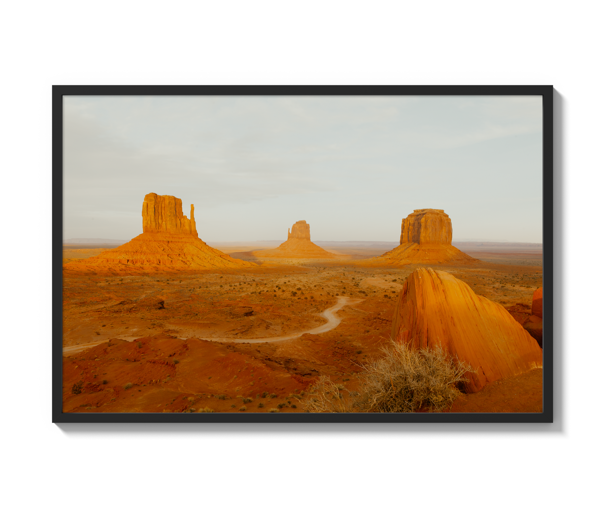 Navajo Nation