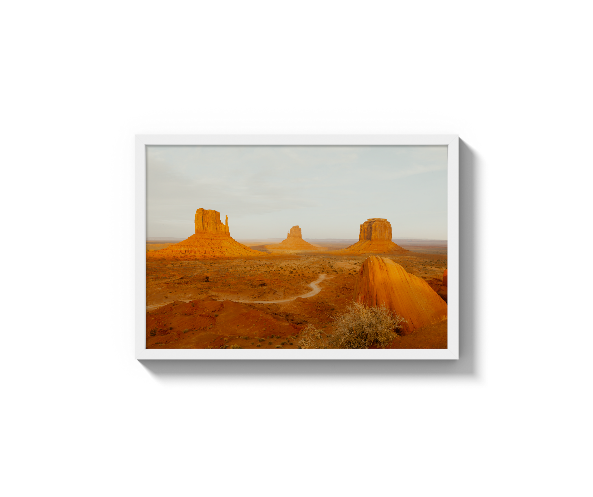 Navajo Nation