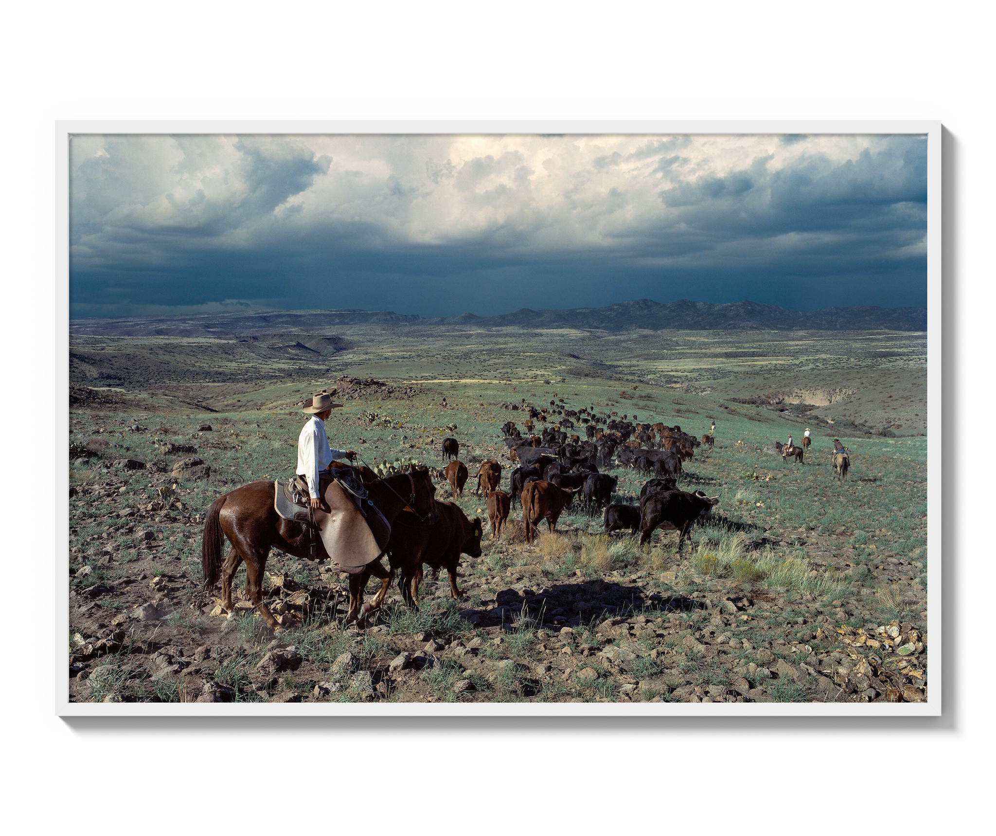 Monsoon Country