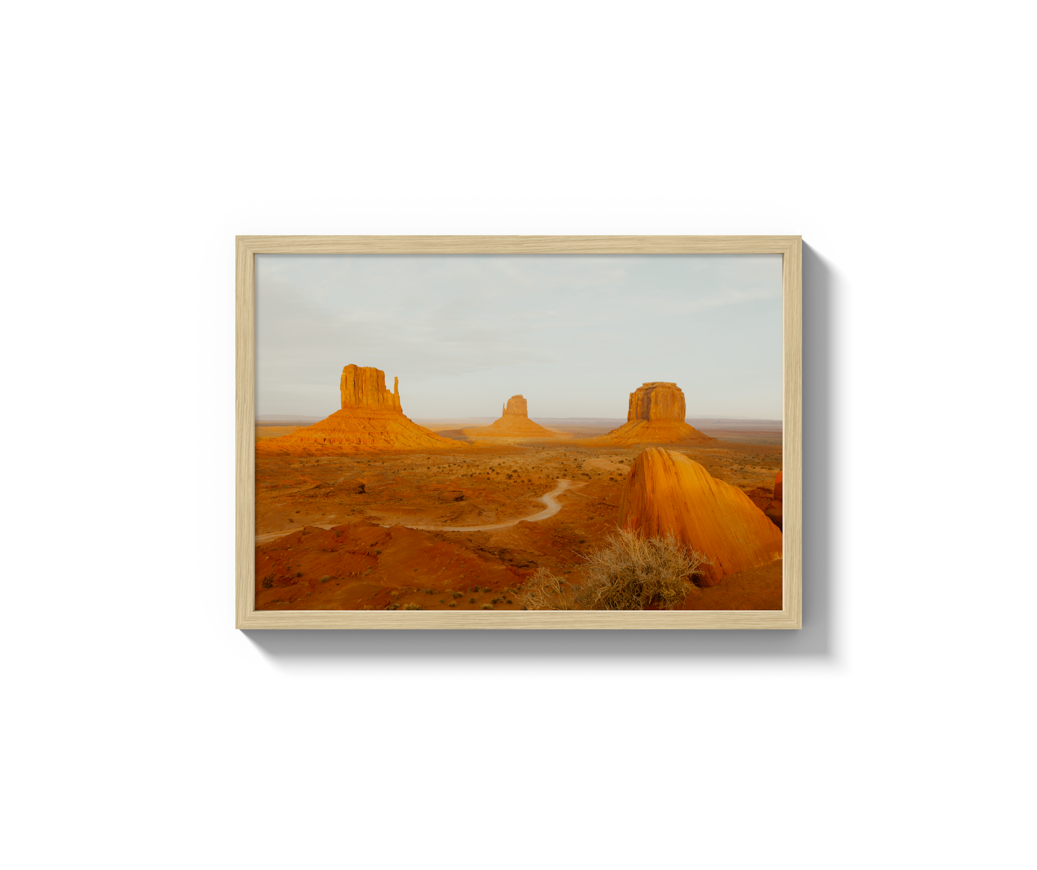 Navajo Nation