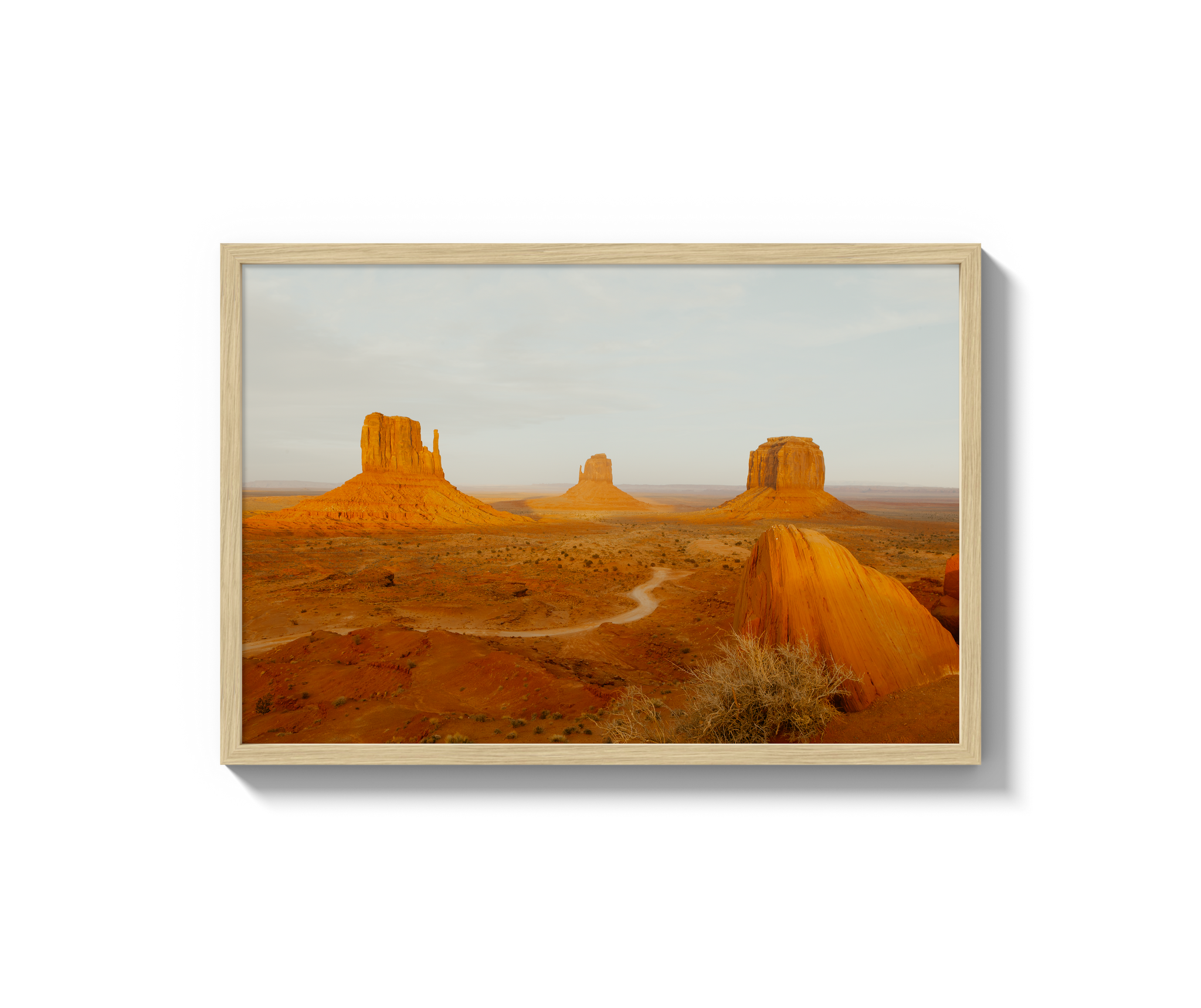 Navajo Nation