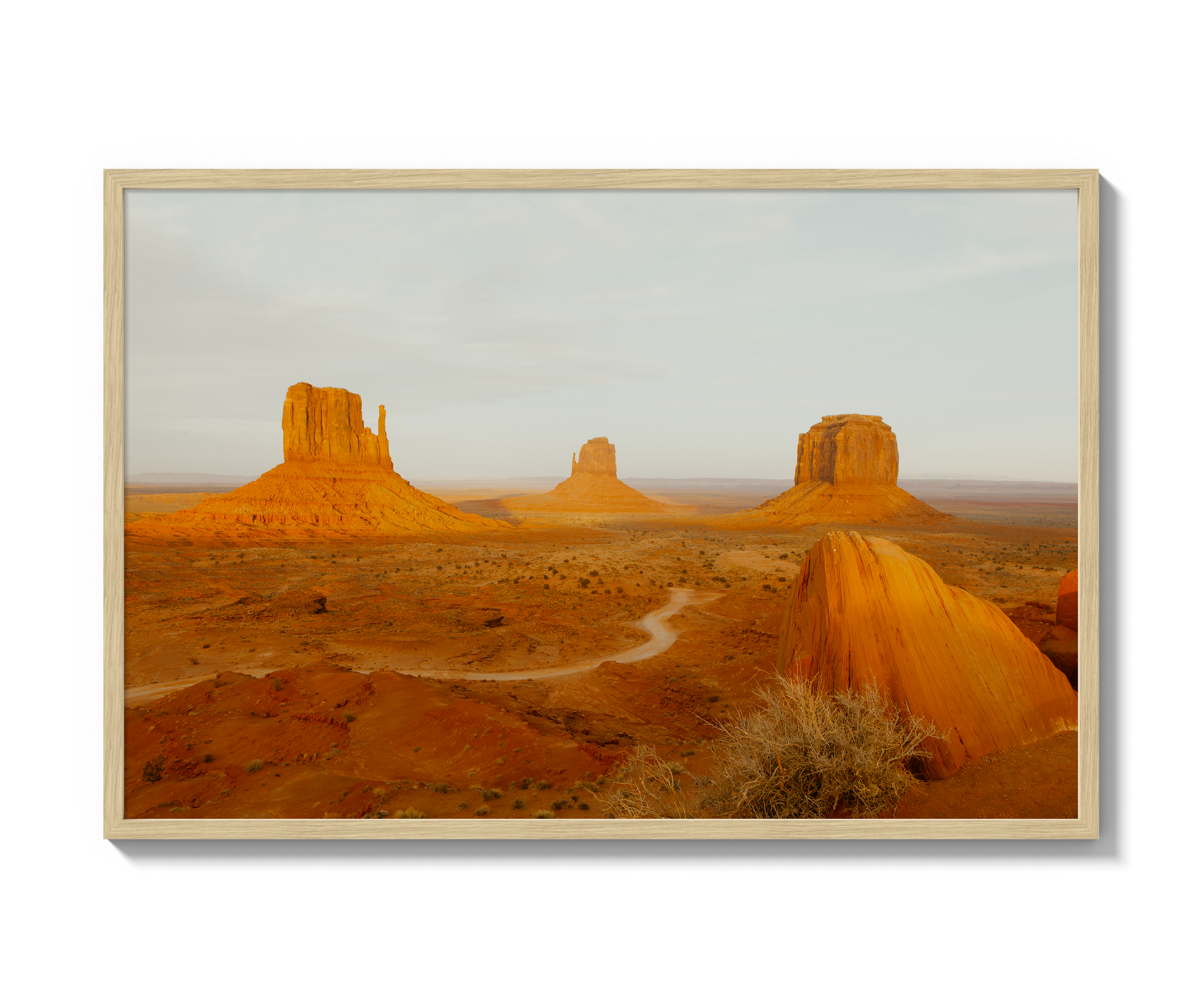 Navajo Nation