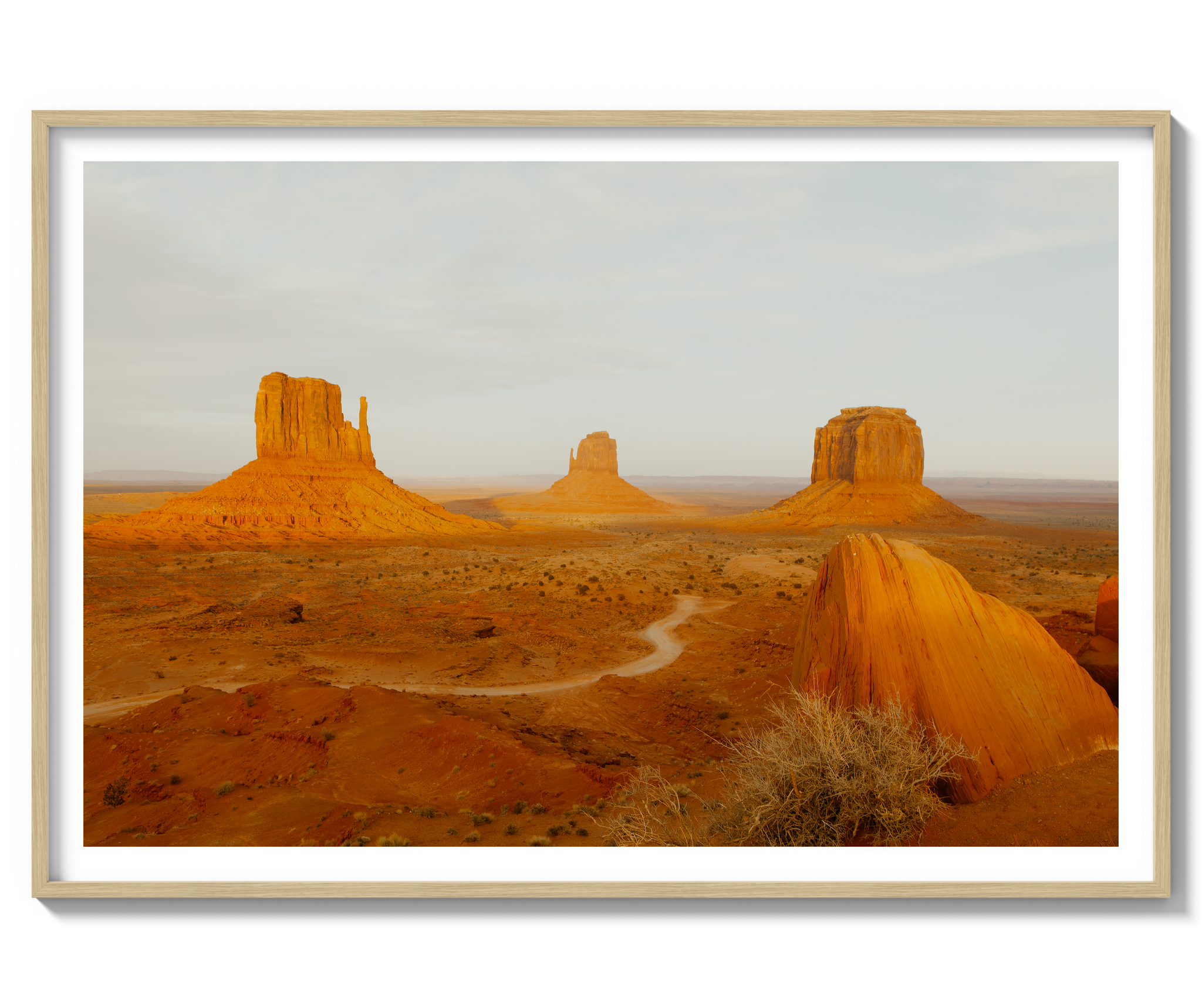 Navajo Nation