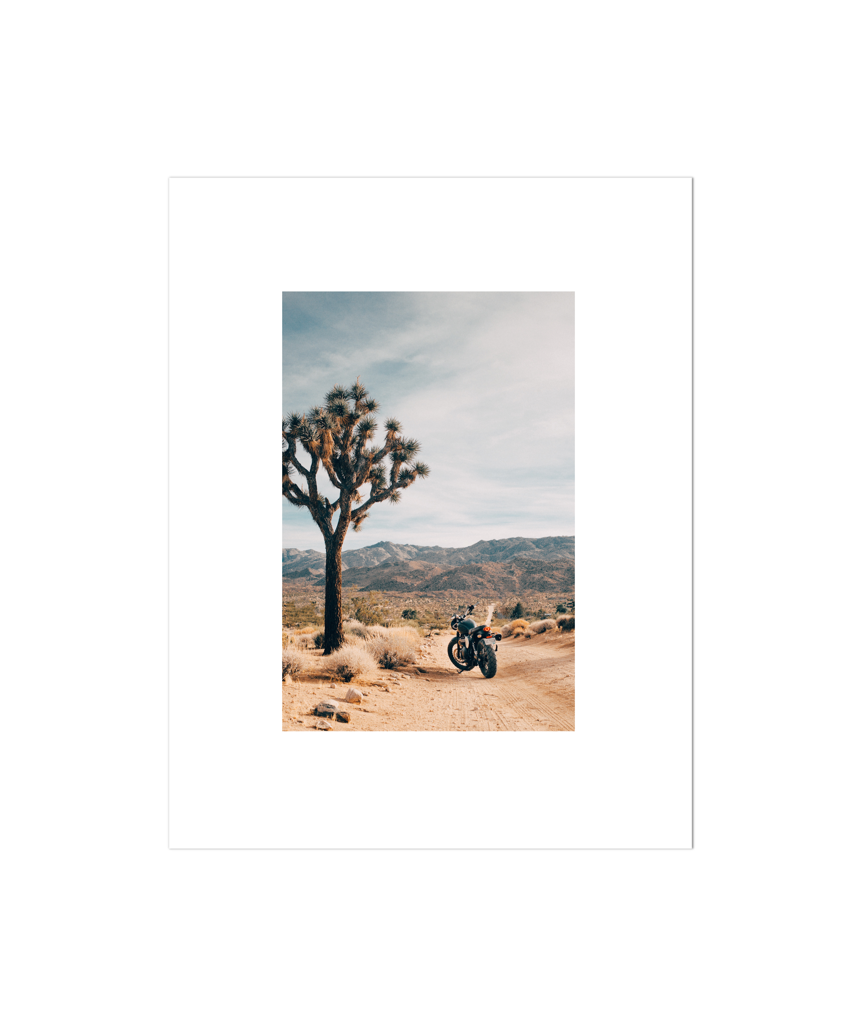 Joshua Tree IV