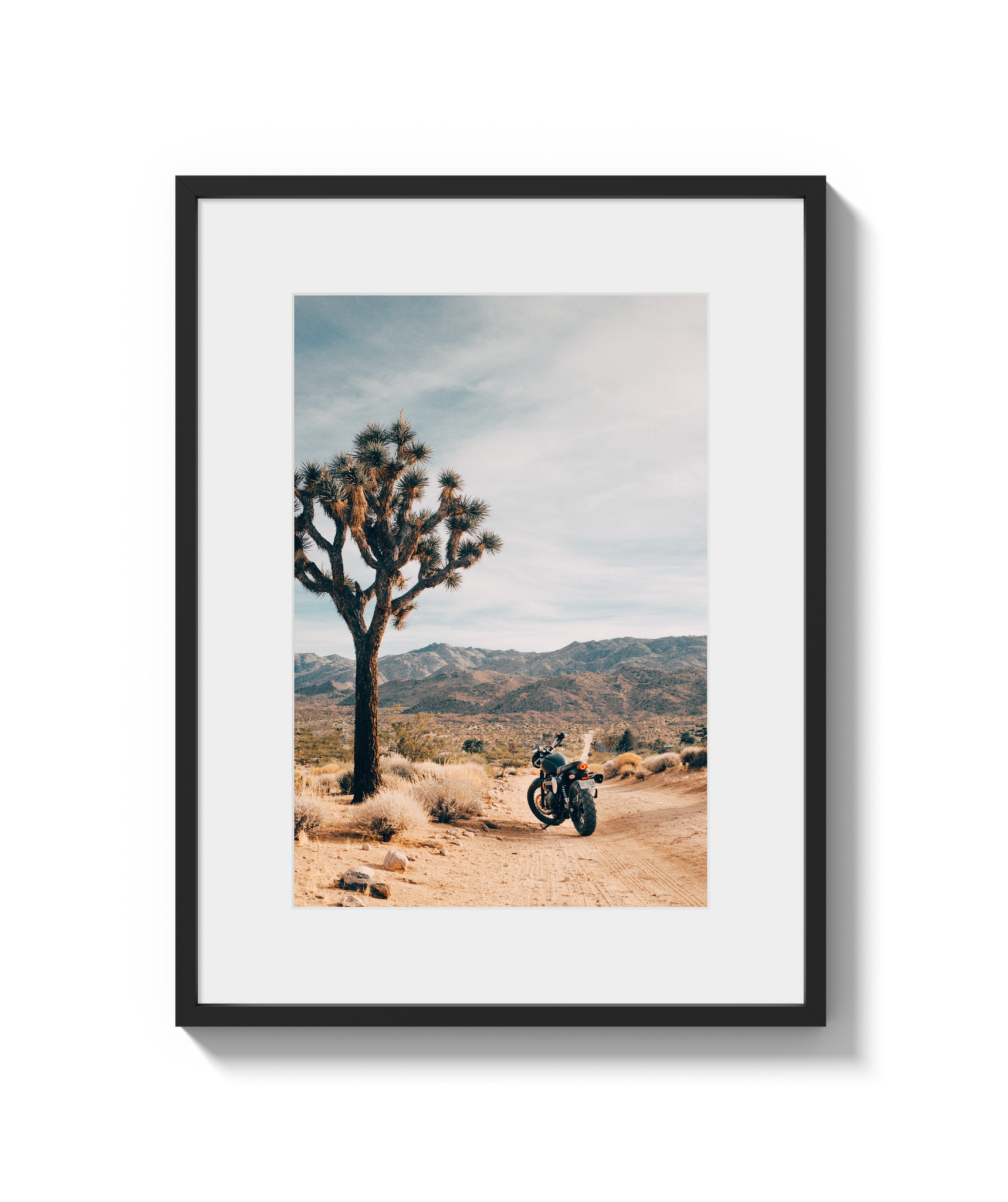 Joshua Tree IV