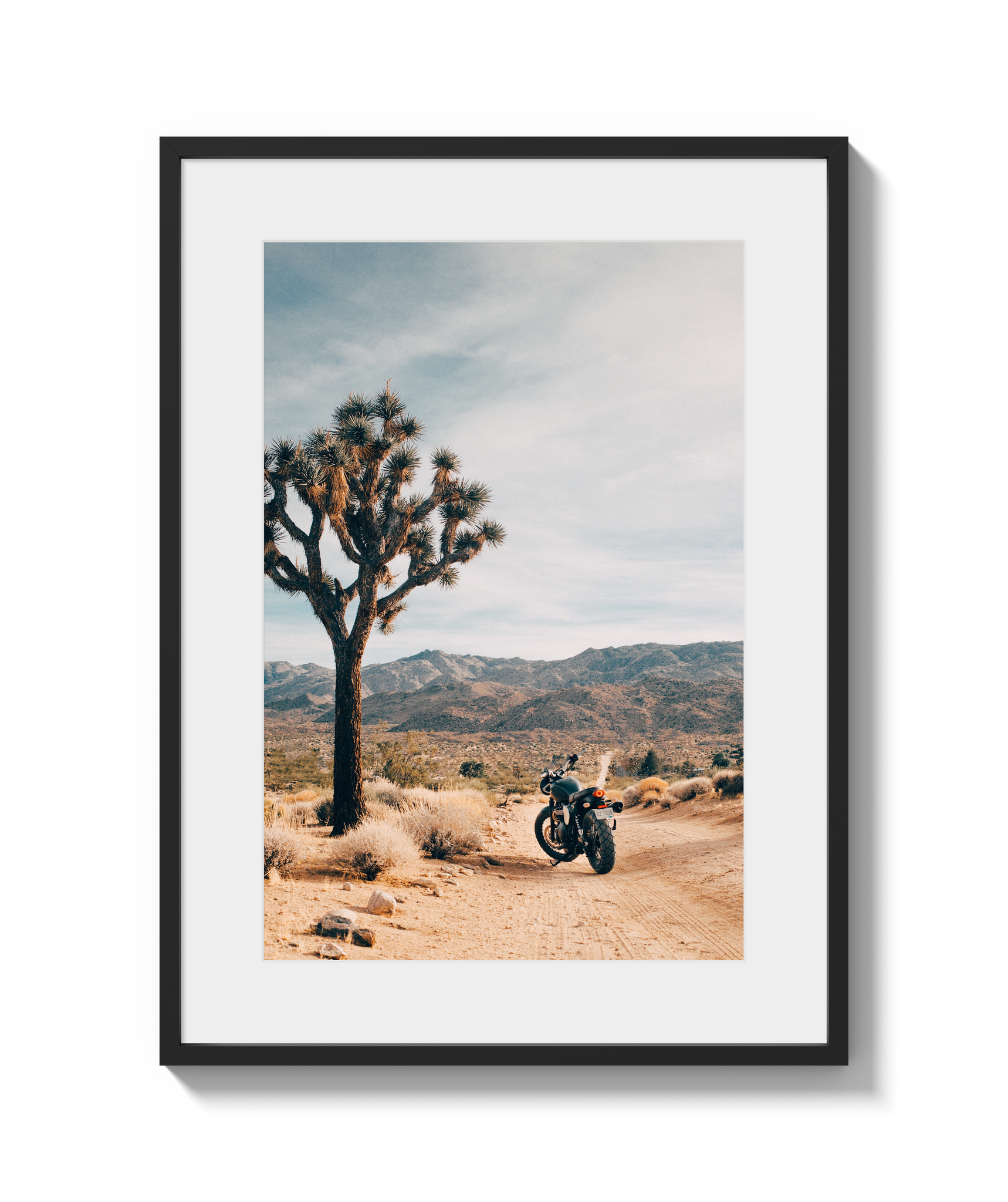 Joshua Tree IV