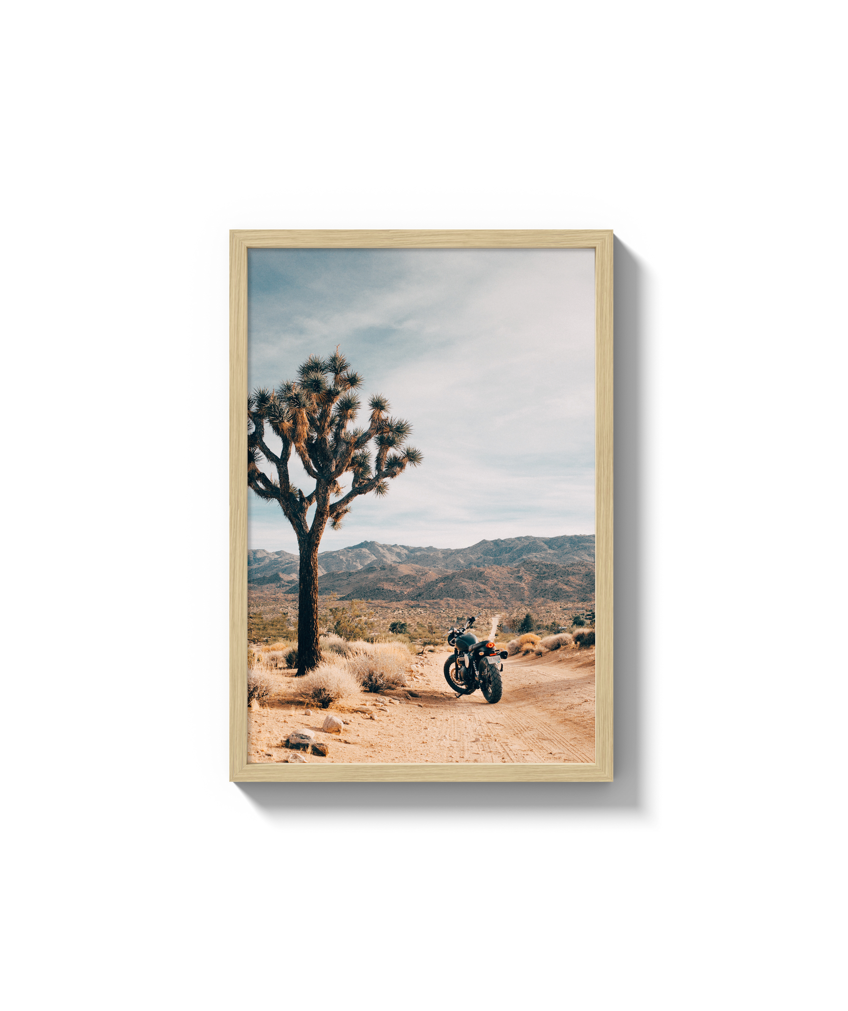 Joshua Tree IV