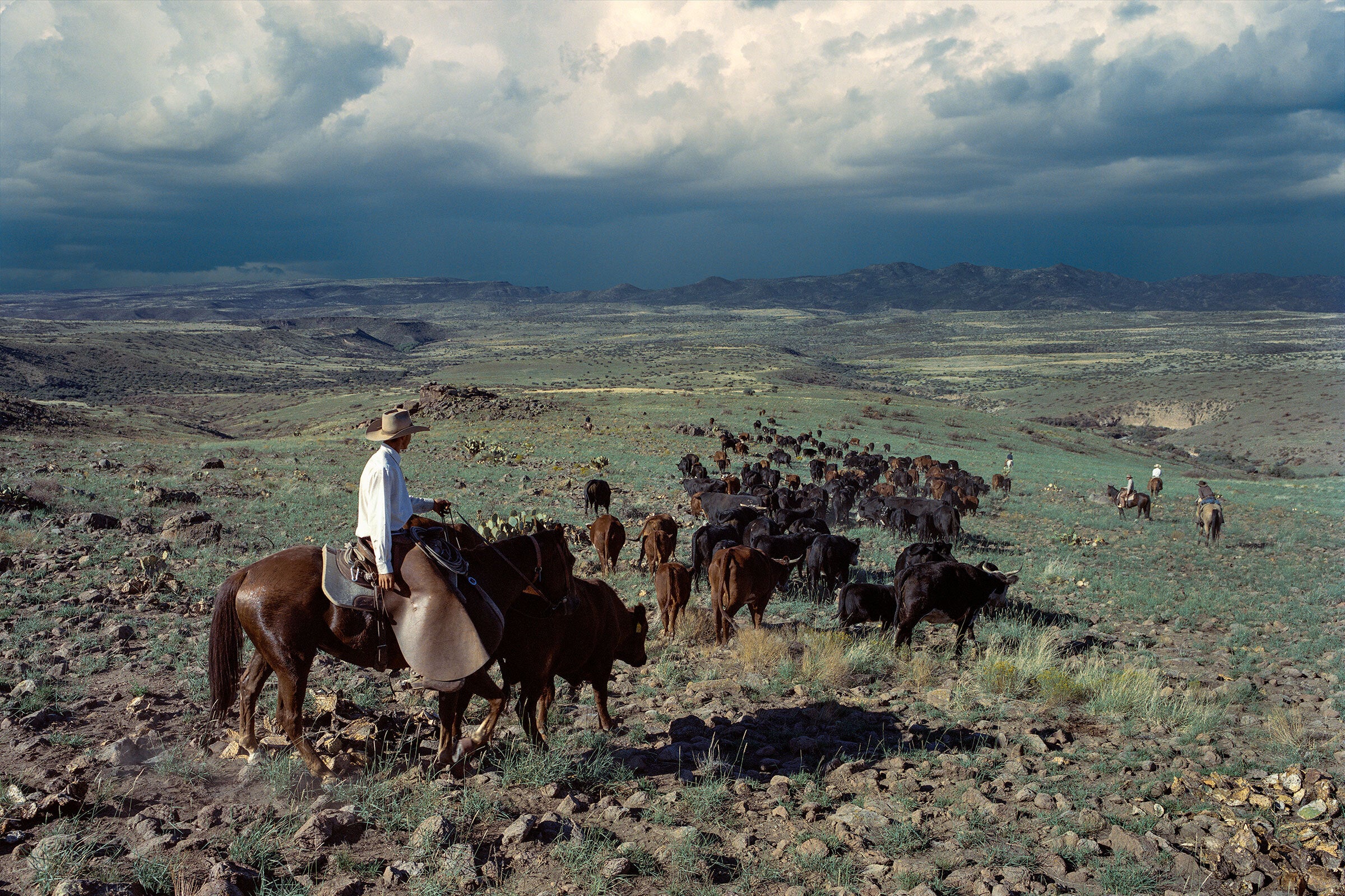 Monsoon Country